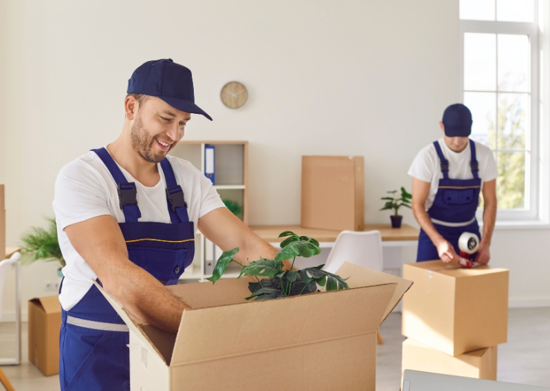 Packing and Moving Companies